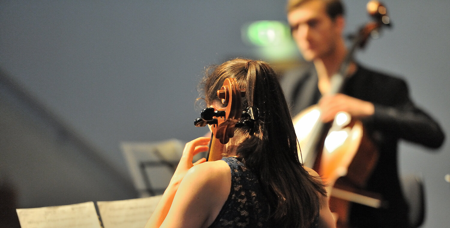 Picture: female cellist from behind